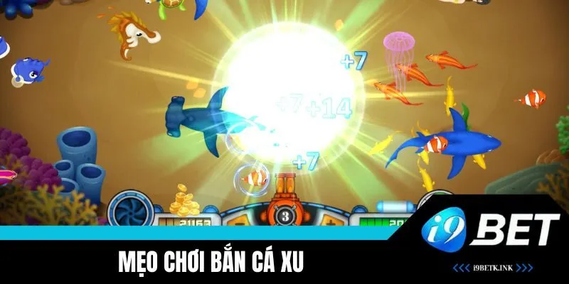 Mẹo hay tăng nhiều xu