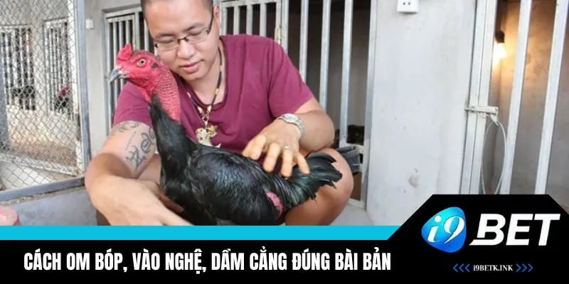 Cách chọn chiến kê dũng mãnh tăng cơ hội chiến thắng