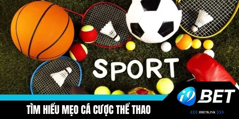 Khám phá cá cược thể thao