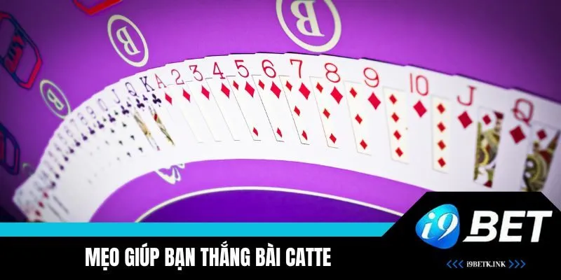 Mẹo giúp bạn thắng bài Catte 