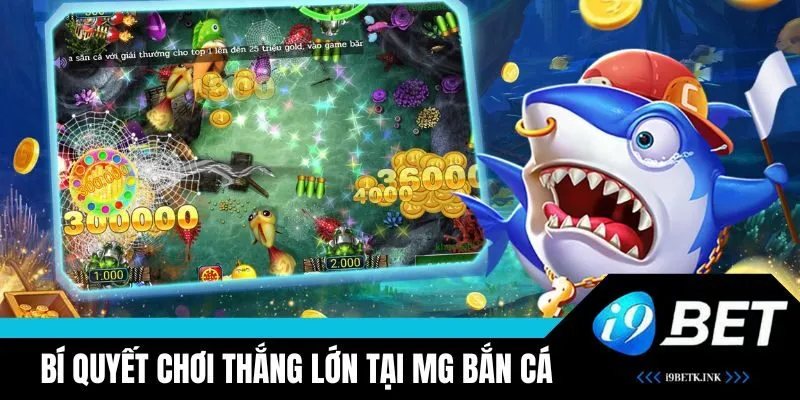 Áp dụng mẹo chơi để gia tăng cơ hội thắng cho ngư thủ