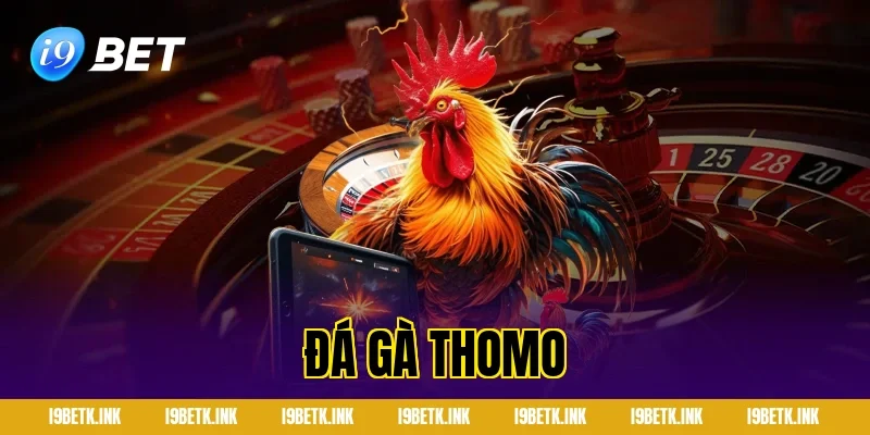 Đá gà thomo
