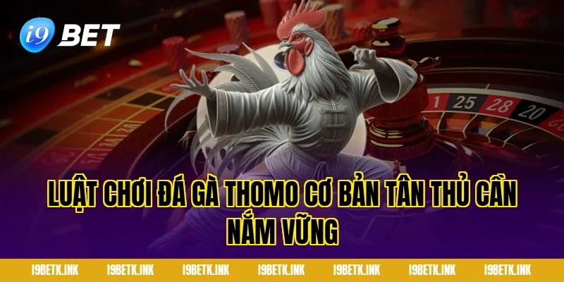 Luật Chơi Đá Gà Thomo Cơ Bản Tân Thủ Cần Nắm Vững