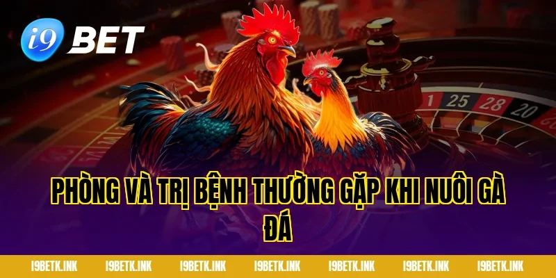 Phòng và trị bệnh thường gặp khi nuôi gà đá