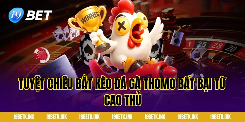 Tuyệt Chiêu Bắt Kèo Đá Gà Thomo Bất Bại Từ Cao Thủ